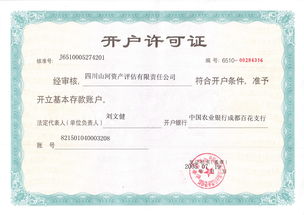 四川山河資產(chǎn)評估有限責(zé)任公司 專業(yè)評估服務(wù)，守護(hù)資產(chǎn)價值