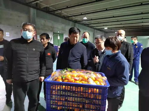 張勝明副市長赴濟(jì)寧蔬菜批發(fā)市場調(diào)研 筑牢食品安全防線，守護(hù)百姓“菜籃子”安全